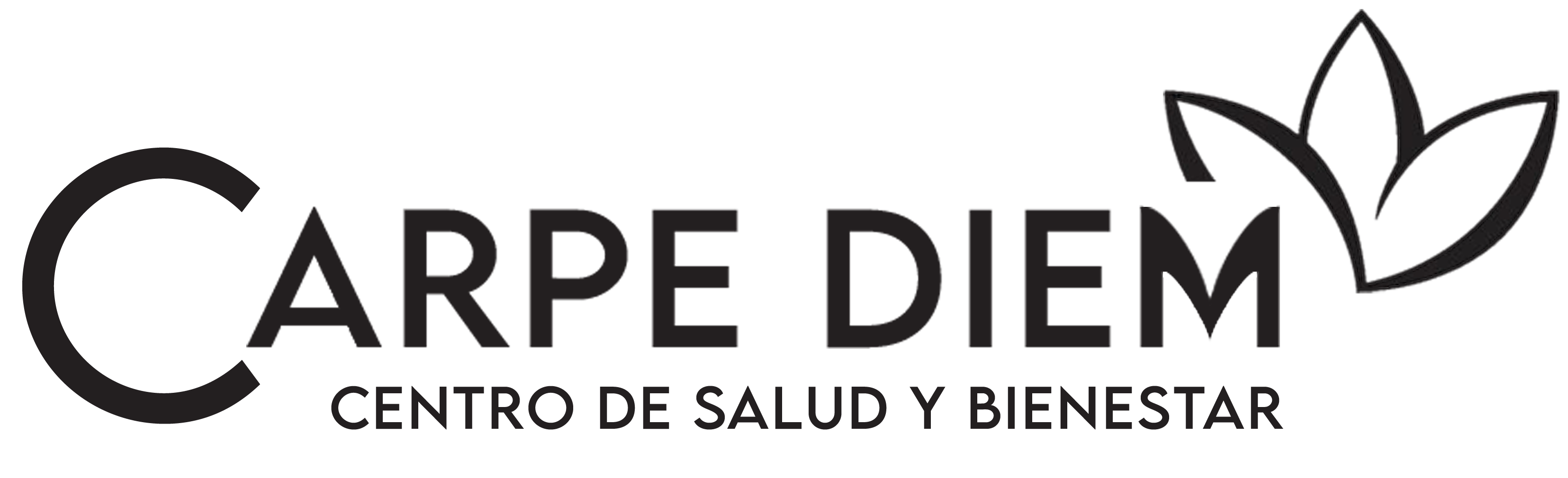Carpediem Logo